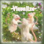 -v i s u a l i z e-