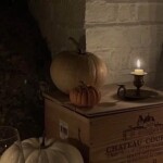 ⋆｡°✩🍂✩°｡⋆