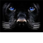 awesome cat lovers