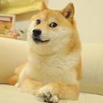 Doge's Shop