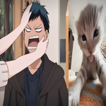 My Hero AcademiaFans