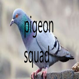 make this popular so i get money