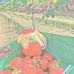 🍡