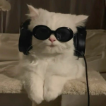 GEZMO