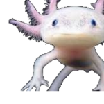 Axolotl_Army99