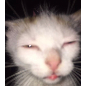 Random Awful Game Generator