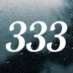 #333 Gang
