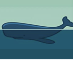 WhaleShark Fan Club