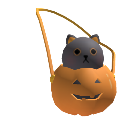 Pumpkin Cat