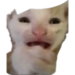 Blueyzpaws