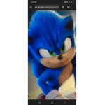 The sonic bffs