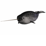 Narwhals United.