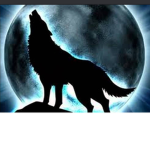 ||~Wolf Family~||