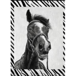 *+Riding Star Academy+*