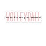 All Star Volleyball !