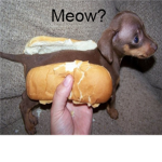 Hot Dog Group !!!!
