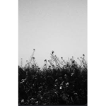 ...angelzz