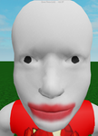 Bloxxer raids
