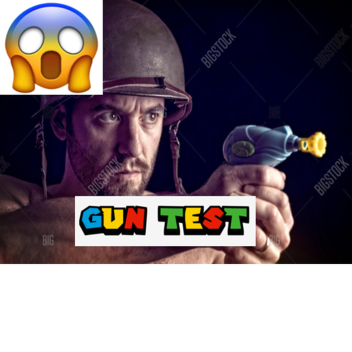 new gun testing