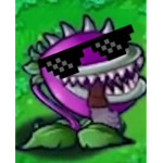 Chxrry Bom