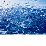 Waters Edge