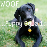 ..Puppy Squad..