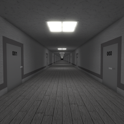 Infinite Hallway