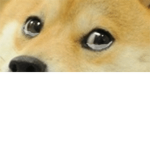 MAx_genij