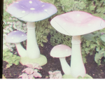 ʙʟᴜsʜxᴇᴍᴘ