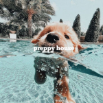Preppy house.fr