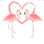 Flamingo squad :D