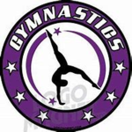 gymnast academy