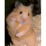 Hi guys ;D