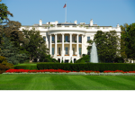 White house fan club