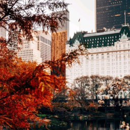 🍂