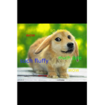 Bunny Doge squad