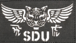 西九龍飛虎隊