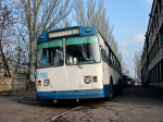 Danya_3272 trp