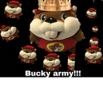 Bucky army