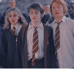 ******~~~Harry Potter Fans~~~******