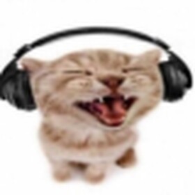 take a photo with rapper cat
