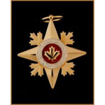 The Raven Auxility