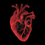 vile heartz