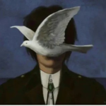 TheAckermans