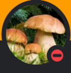 Mega Crash Testers