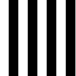 {~Black and white squad~}
