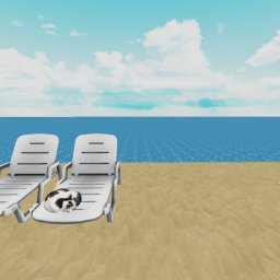 on a beach