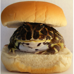 Toadburger fanclub