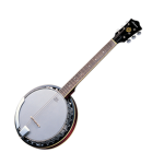 The banjo kingdom