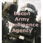 Bacon-Army Intelligence Agency